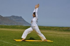 Virabhadrasana I - Warrior Pose 1